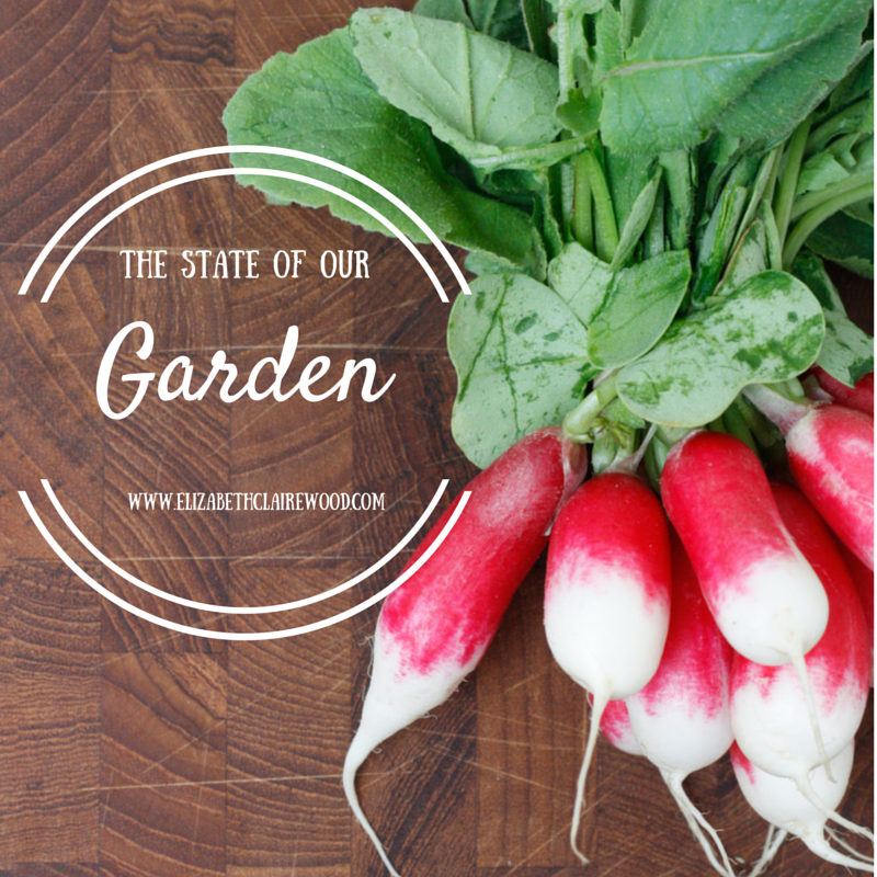 the state of our&nbsp;garden