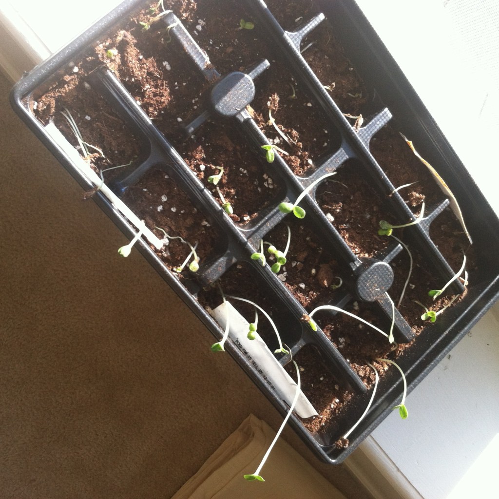 photo-6