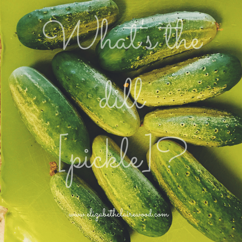 the state of our garden: week&nbsp;009