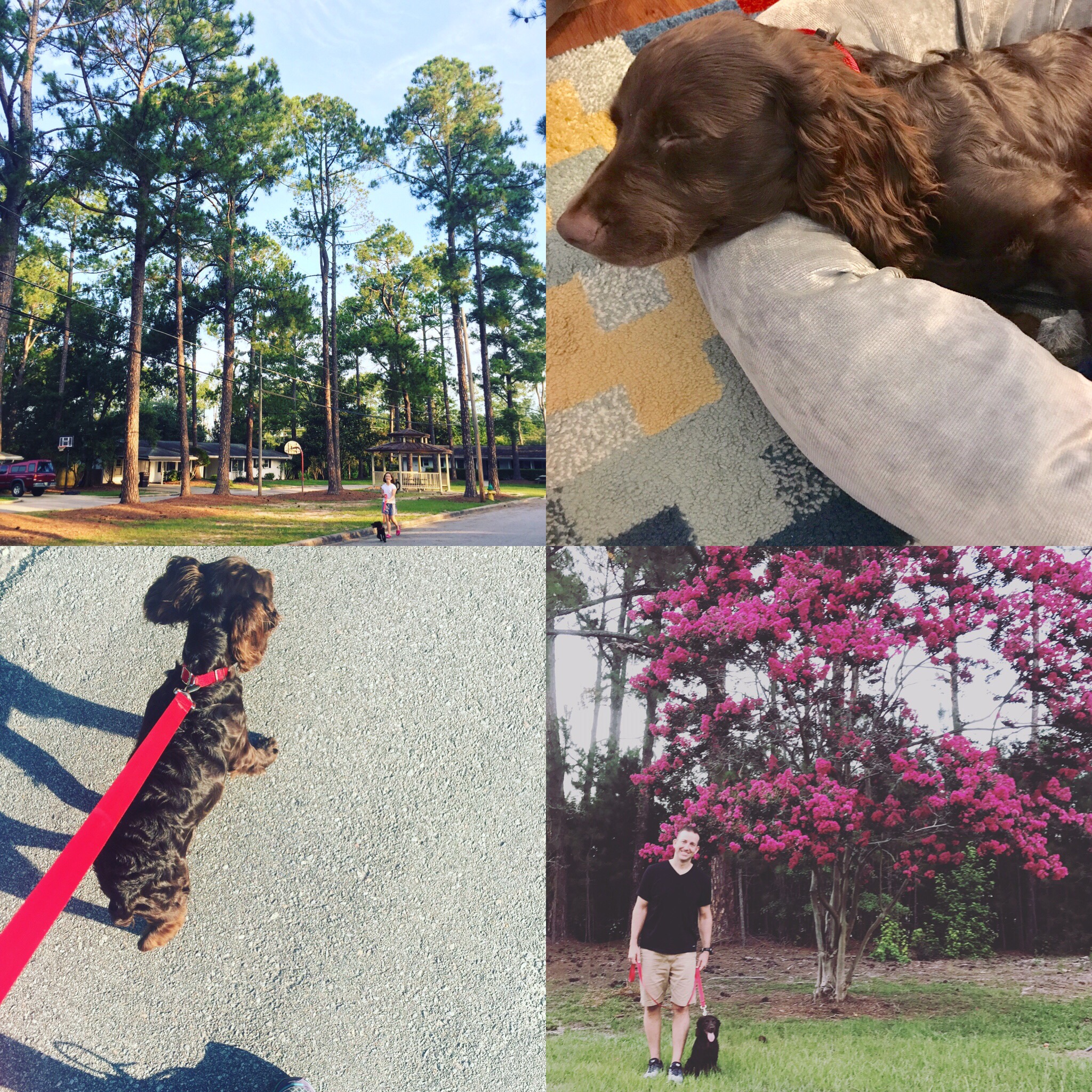 aa395c1e-89bd-4215-bfa9-a6532e978b80