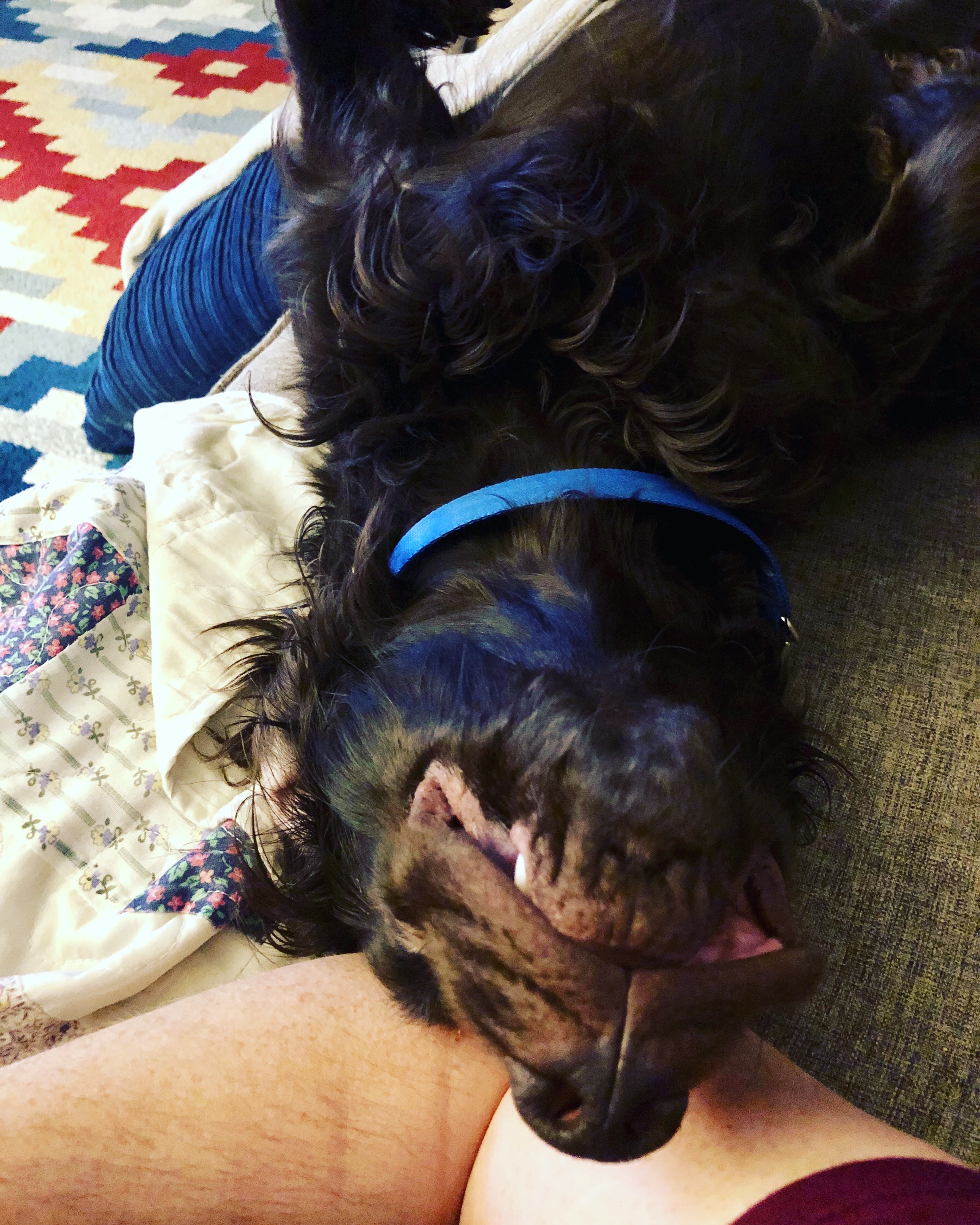 E5769B81-A189-47F3-9537-3BC5153D5453